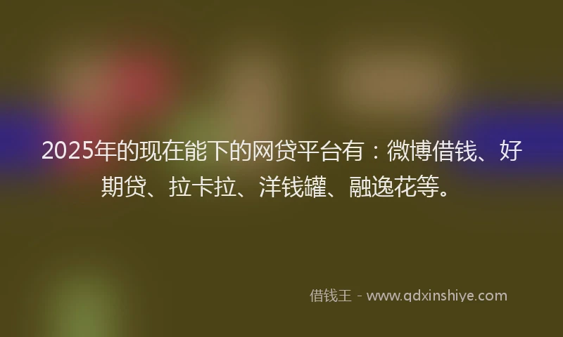 2025年的现在能下的网贷平台有：微博借钱、好期贷、拉卡拉、洋钱罐、融逸花等。