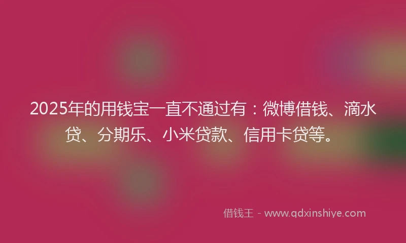 2025年的用钱宝一直不通过有：微博借钱、滴水贷、分期乐、小米贷款、信用卡贷等。