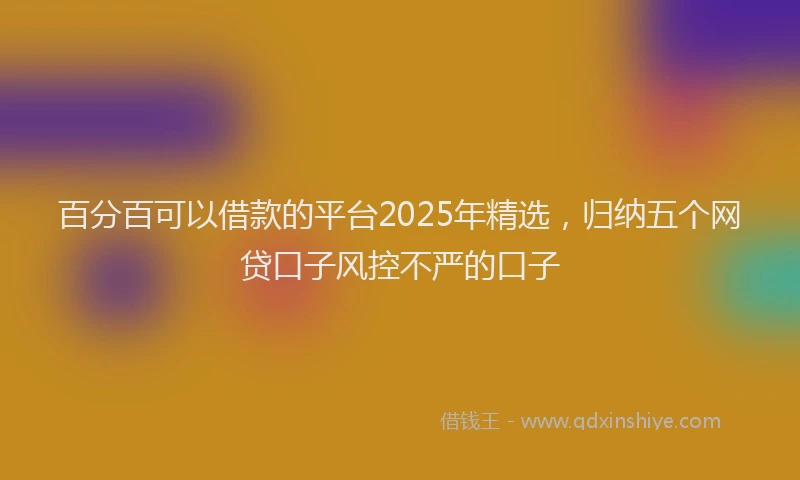 百分百可以借款的平台2025年精选，归纳五个网贷口子风控不严的口子