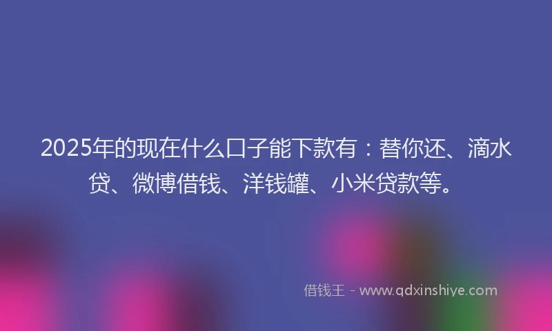 2025年的现在什么口子能下款有：替你还、滴水贷、微博借钱、洋钱罐、小米贷款等。
