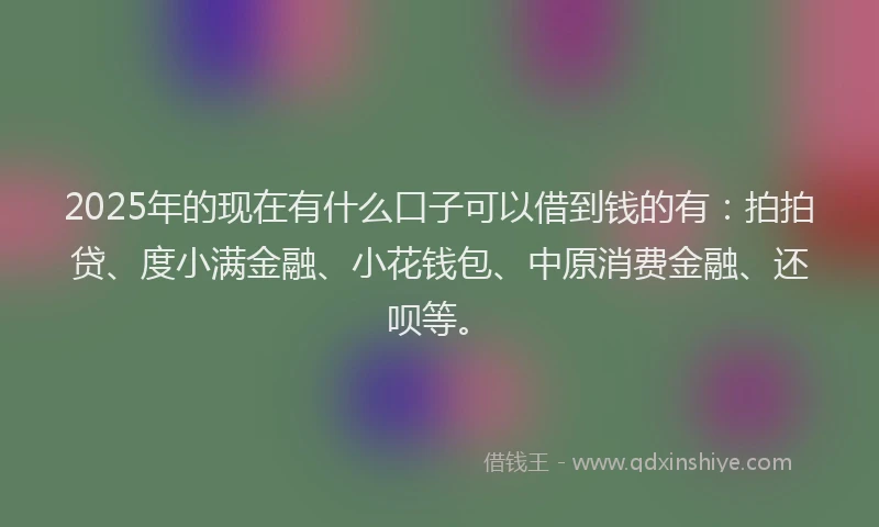 2025年的现在有什么口子可以借到钱的有：拍拍贷、度小满金融、小花钱包、中原消费金融、还呗等。