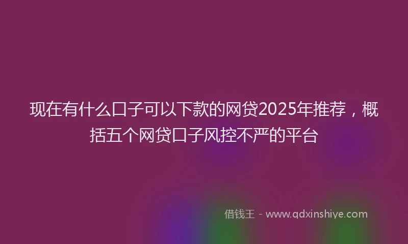 现在有什么口子可以下款的网贷2025年推荐，概括五个网贷口子风控不严的平台