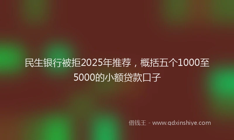 民生银行被拒2025年推荐，概括五个1000至5000的小额贷款口子