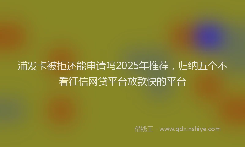 浦发卡被拒还能申请吗2025年推荐，归纳五个不看征信网贷平台放款快的平台