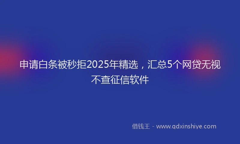 申请白条被秒拒2025年精选，汇总5个网贷无视不查征信软件
