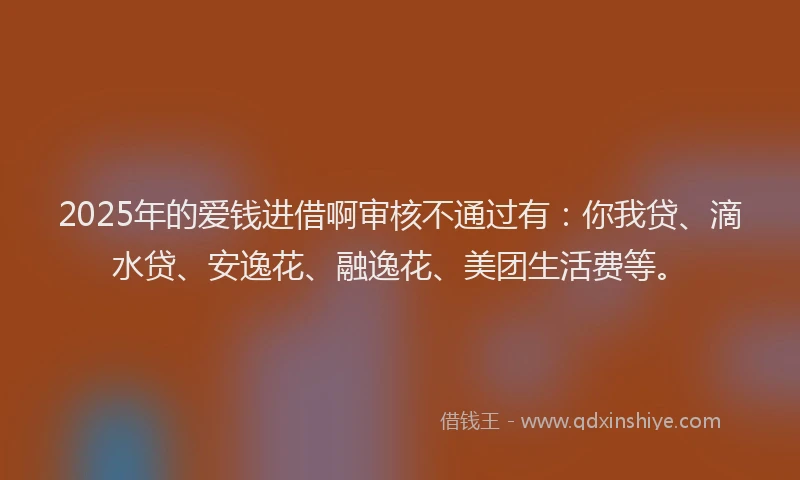 2025年的爱钱进借啊审核不通过有：你我贷、滴水贷、安逸花、融逸花、美团生活费等。