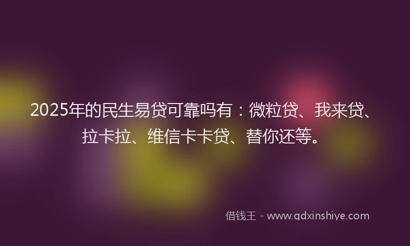 2025年的民生易贷可靠吗有：微粒贷、我来贷、拉卡拉、维信卡卡贷、替你还等。