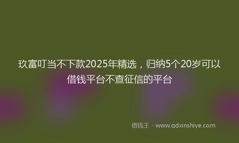 玖富叮当不下款2025年精选，归纳5个20岁可以借钱平台不查征信的平台