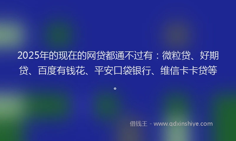 2025年的现在的网贷都通不过有：微粒贷、好期贷、百度有钱花、平安口袋银行、维信卡卡贷等。
