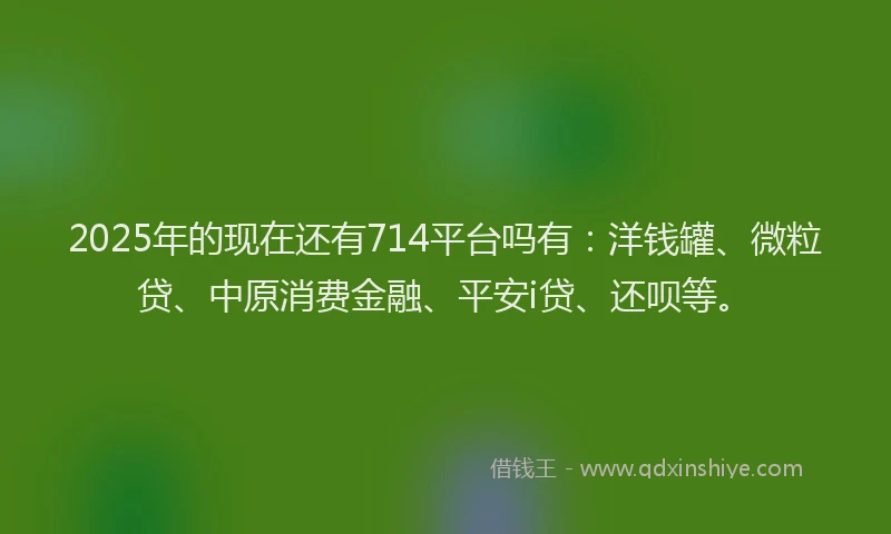 2025年的现在还有714平台吗有：洋钱罐、微粒贷、中原消费金融、平安i贷、还呗等。