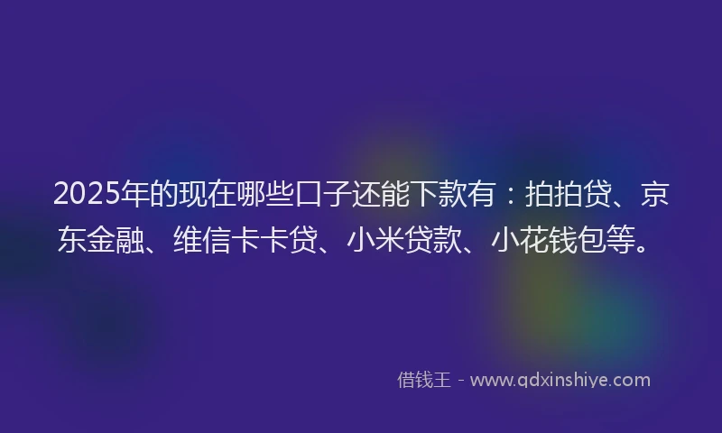 2025年的现在哪些口子还能下款有：拍拍贷、京东金融、维信卡卡贷、小米贷款、小花钱包等。