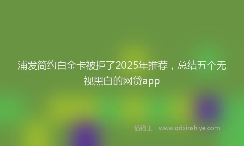 浦发简约白金卡被拒了2025年推荐，总结五个无视黑白的网贷app