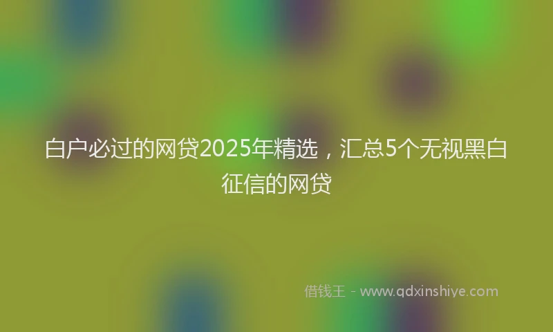 白户必过的网贷2025年精选，汇总5个无视黑白征信的网贷