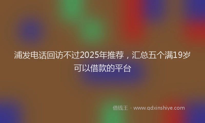 浦发电话回访不过2025年推荐，汇总五个满19岁可以借款的平台