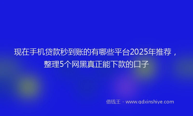 现在手机贷款秒到账的有哪些平台2025年推荐，整理5个网黑真正能下款的口子