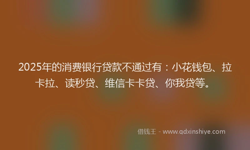2025年的消费银行贷款不通过有：小花钱包、拉卡拉、读秒贷、维信卡卡贷、你我贷等。