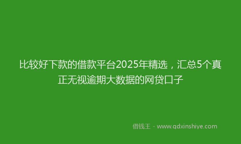 比较好下款的借款平台2025年精选，汇总5个真正无视逾期大数据的网贷口子