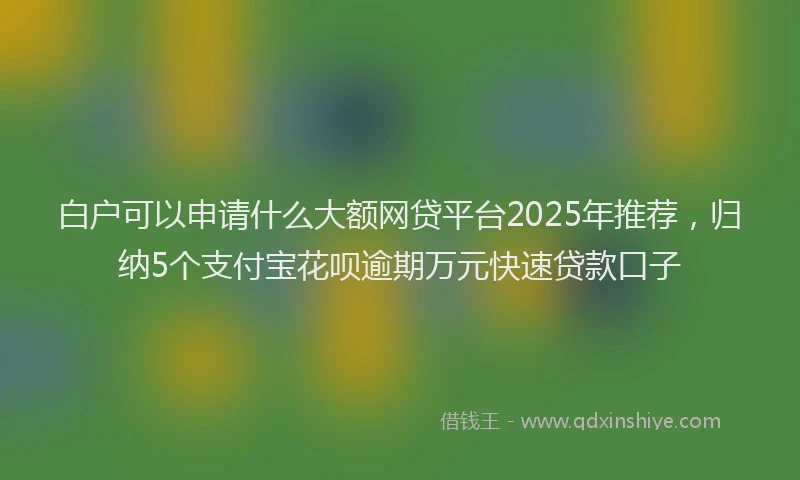 白户可以申请什么大额网贷平台2025年推荐，归纳5个支付宝花呗逾期万元快速贷款口子