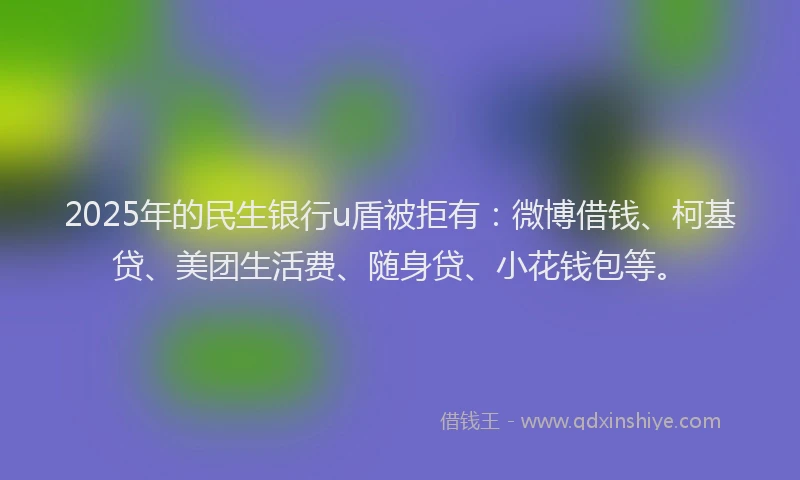 2025年的民生银行u盾被拒有：微博借钱、柯基贷、美团生活费、随身贷、小花钱包等。