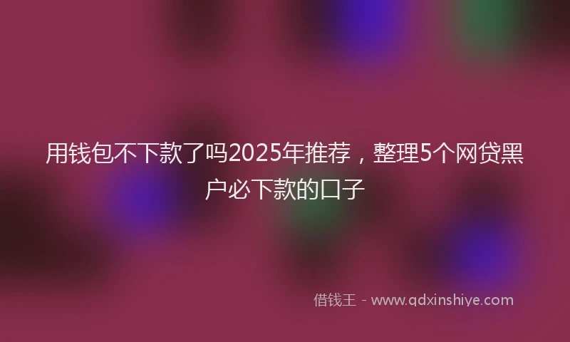 用钱包不下款了吗2025年推荐，整理5个网贷黑户必下款的口子