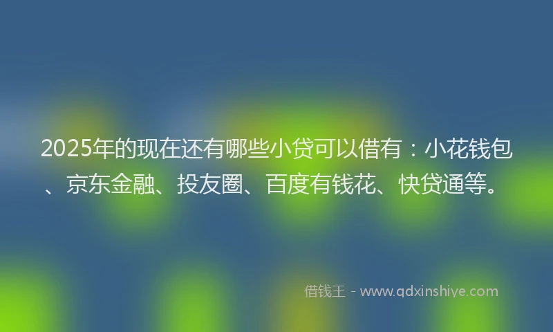 2025年的现在还有哪些小贷可以借有：小花钱包、京东金融、投友圈、百度有钱花、快贷通等。