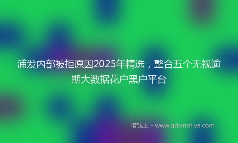 浦发内部被拒原因2025年精选，整合五个无视逾期大数据花户黑户平台