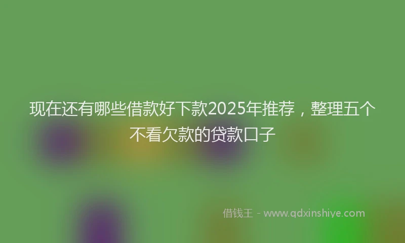 现在还有哪些借款好下款2025年推荐，整理五个不看欠款的贷款口子