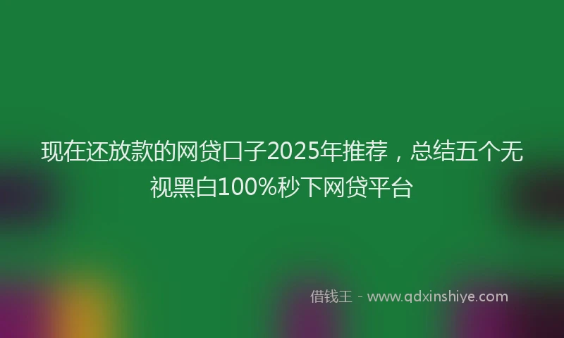 现在还放款的网贷口子2025年推荐，总结五个无视黑白100%秒下网贷平台