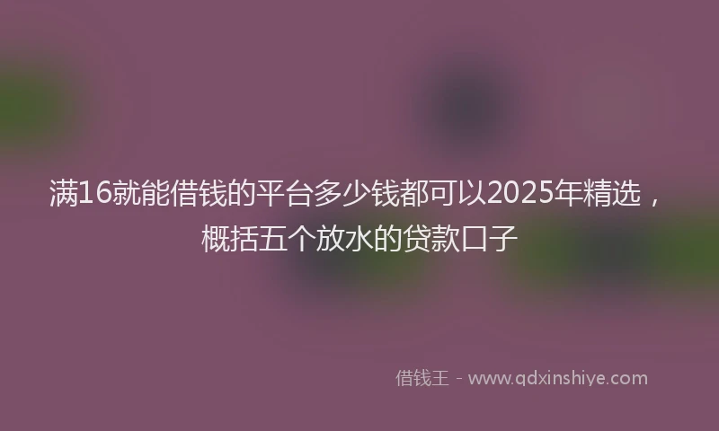 满16就能借钱的平台多少钱都可以2025年精选，概括五个放水的贷款口子