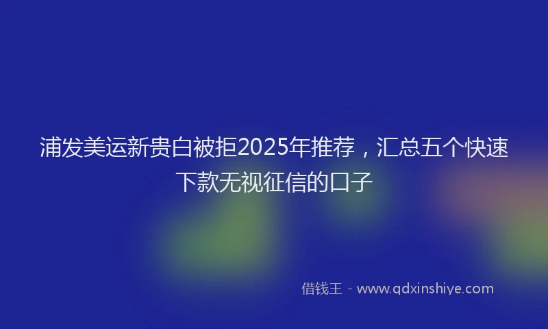 浦发美运新贵白被拒2025年推荐，汇总五个快速下款无视征信的口子