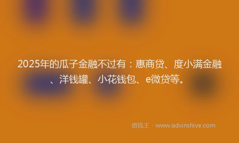 2025年的瓜子金融不过有：惠商贷、度小满金融、洋钱罐、小花钱包、e微贷等。