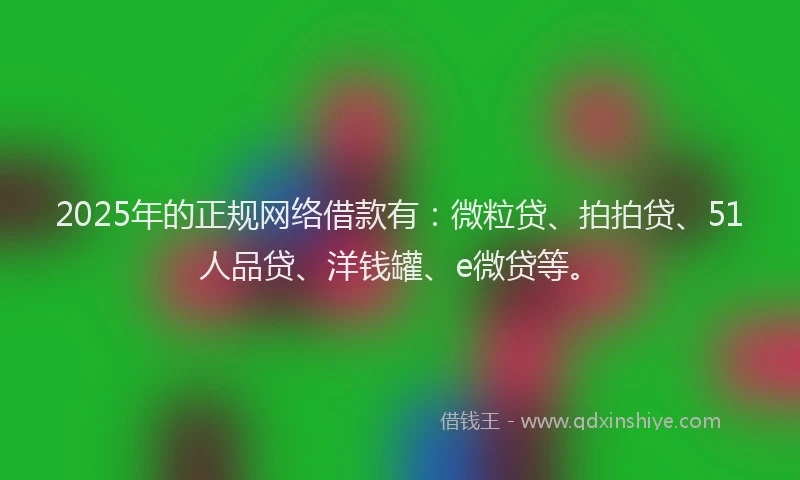 2025年的正规网络借款有：微粒贷、拍拍贷、51人品贷、洋钱罐、e微贷等。