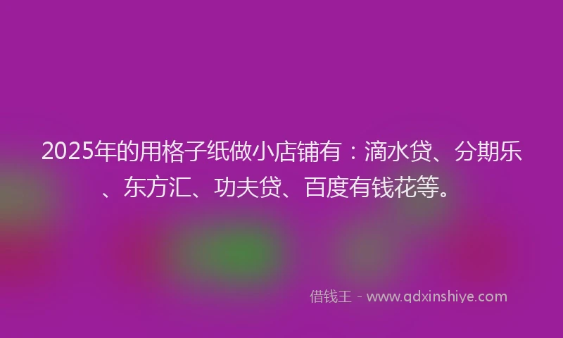 2025年的用格子纸做小店铺有：滴水贷、分期乐、东方汇、功夫贷、百度有钱花等。