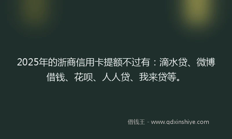 2025年的浙商信用卡提额不过有：滴水贷、微博借钱、花呗、人人贷、我来贷等。