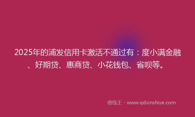 2025年的浦发信用卡激活不通过有：度小满金融、好期贷、惠商贷、小花钱包、省呗等。