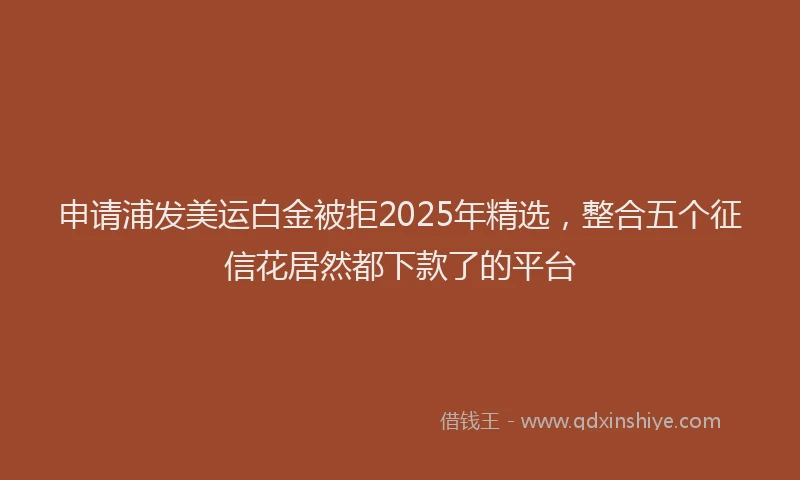 申请浦发美运白金被拒2025年精选，整合五个征信花居然都下款了的平台