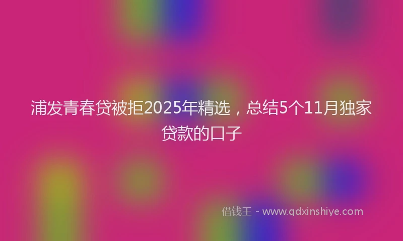 浦发青春贷被拒2025年精选，总结5个11月独家贷款的口子