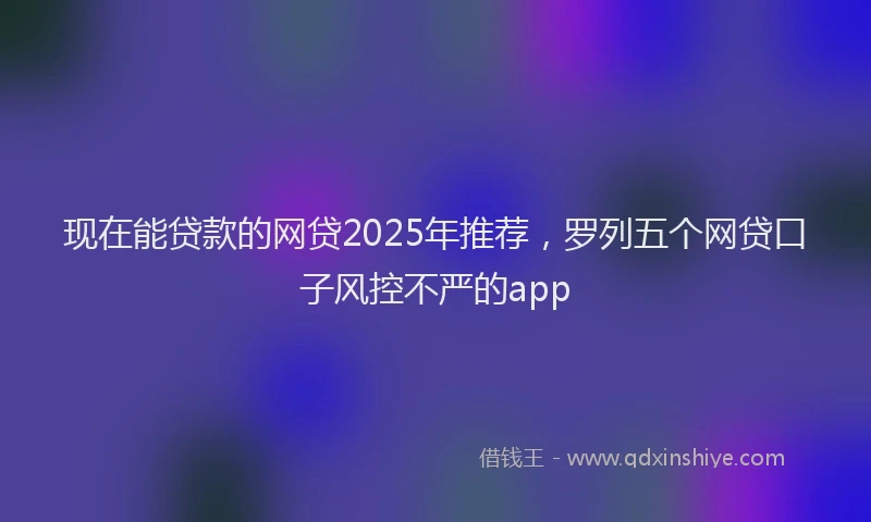 现在能贷款的网贷2025年推荐，罗列五个网贷口子风控不严的app
