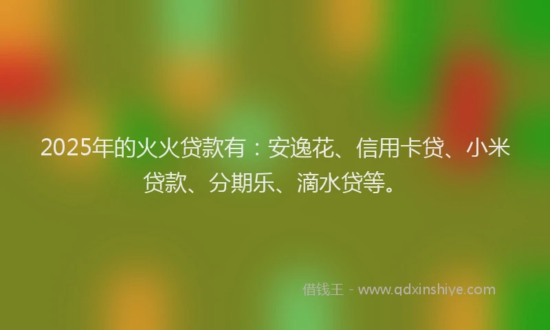 2025年的火火贷款有：安逸花、信用卡贷、小米贷款、分期乐、滴水贷等。