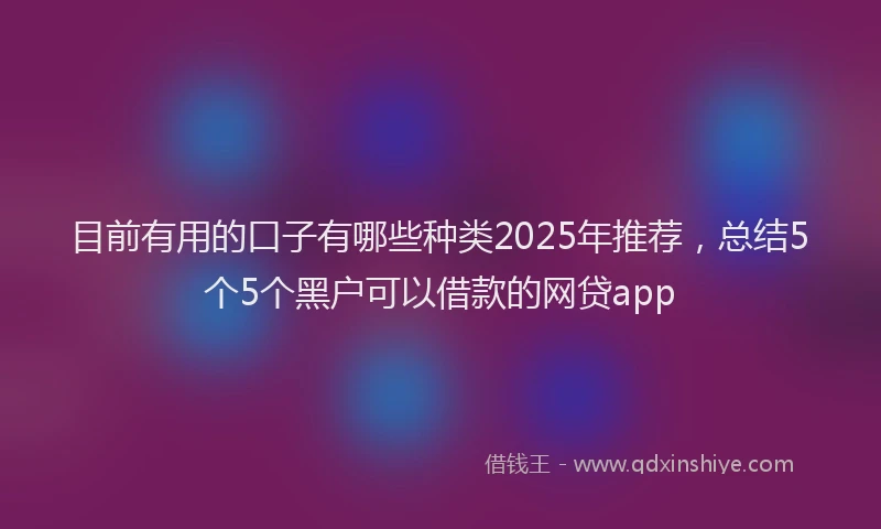 目前有用的口子有哪些种类2025年推荐，总结5个5个黑户可以借款的网贷app