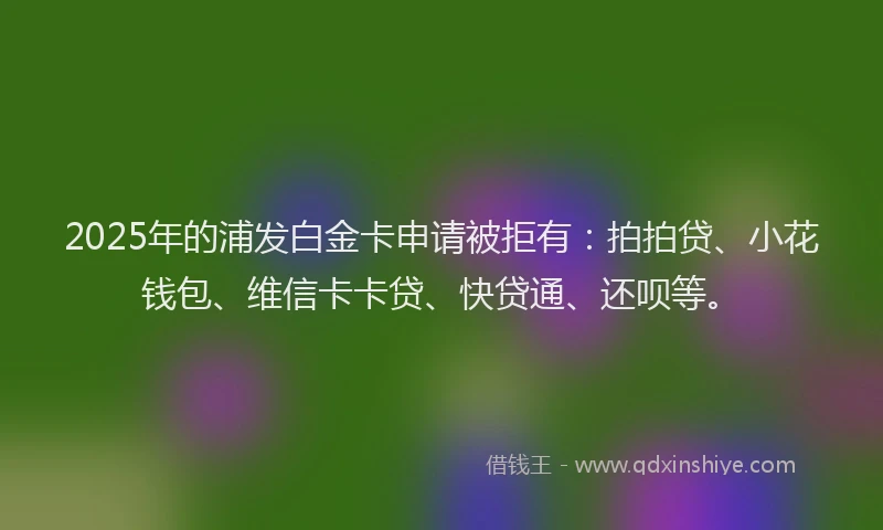 2025年的浦发白金卡申请被拒有：拍拍贷、小花钱包、维信卡卡贷、快贷通、还呗等。