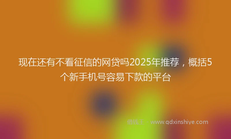 现在还有不看征信的网贷吗2025年推荐，概括5个新手机号容易下款的平台