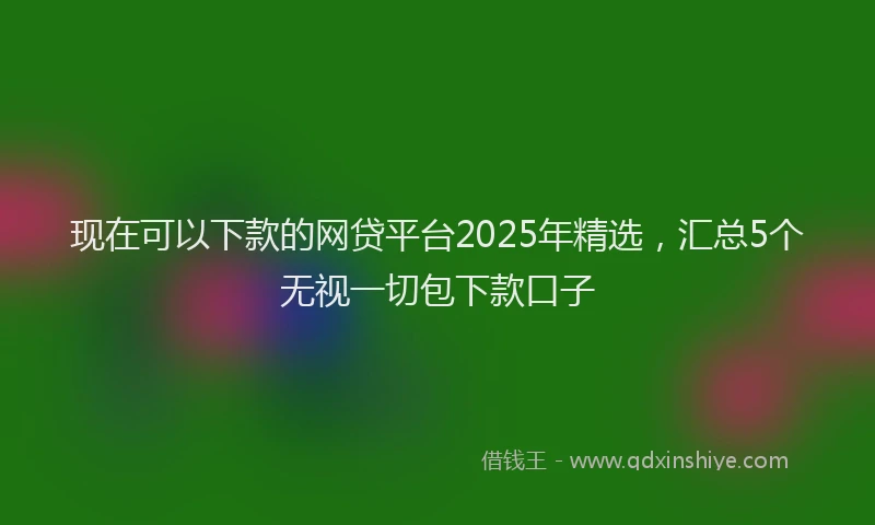 现在可以下款的网贷平台2025年精选，汇总5个无视一切包下款口子