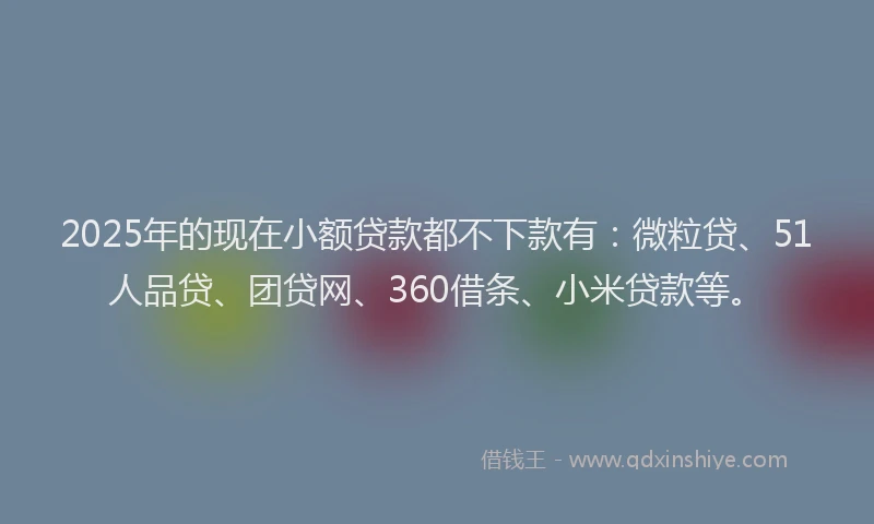 2025年的现在小额贷款都不下款有：微粒贷、51人品贷、团贷网、360借条、小米贷款等。