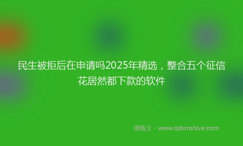民生被拒后在申请吗2025年精选，整合五个征信花居然都下款的软件