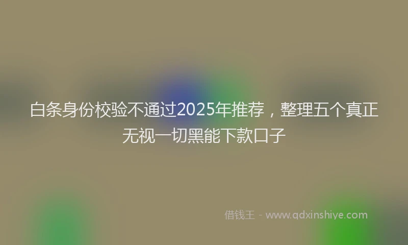 白条身份校验不通过2025年推荐，整理五个真正无视一切黑能下款口子