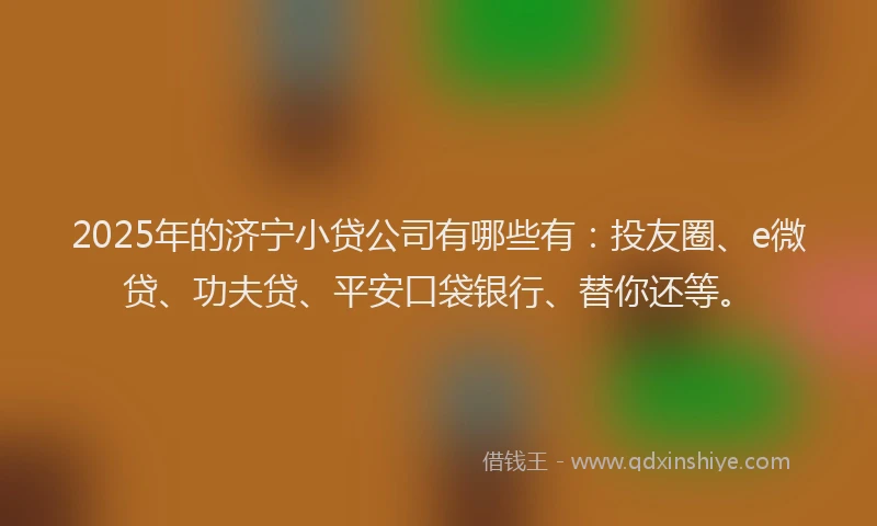 2025年的济宁小贷公司有哪些有：投友圈、e微贷、功夫贷、平安口袋银行、替你还等。