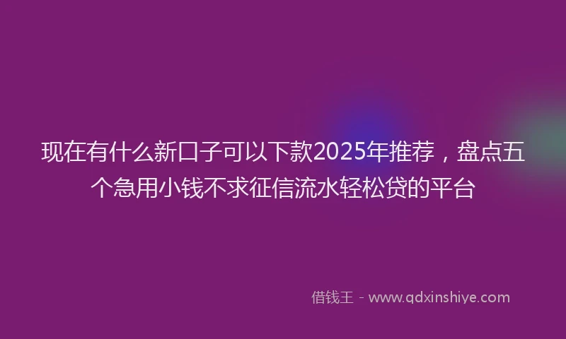 现在有什么新口子可以下款2025年推荐，盘点五个急用小钱不求征信流水轻松贷的平台