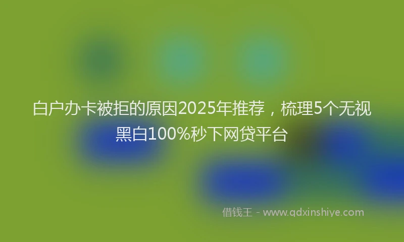 白户办卡被拒的原因2025年推荐，梳理5个无视黑白100%秒下网贷平台