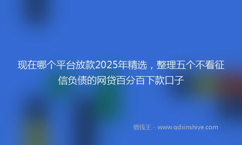 现在哪个平台放款2025年精选，整理五个不看征信负债的网贷百分百下款口子